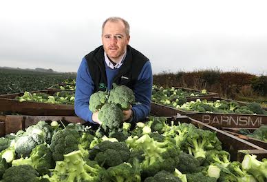 Major Scots agricultural merger creates £50m firm – Scottish Financial ...